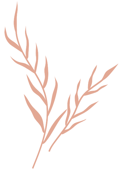 Brown White Brown White